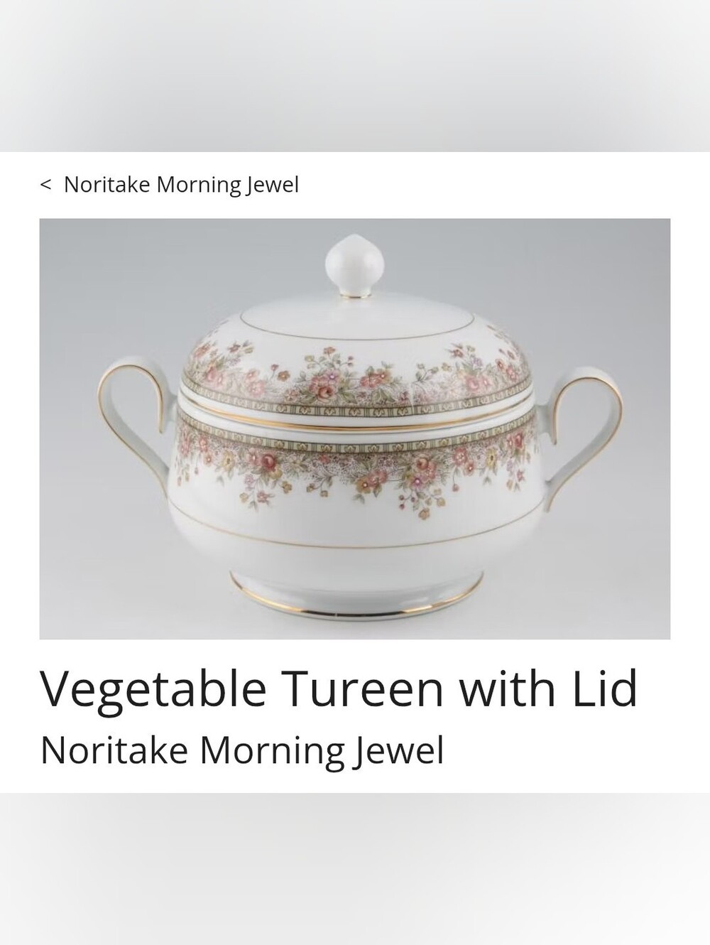 Vintage Noritake -"Morning Jewel" Vegetable Tureen.